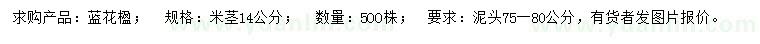 求購米徑14公分藍(lán)花楹