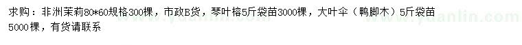 求購非洲茉莉、琴葉榕、大葉傘等
