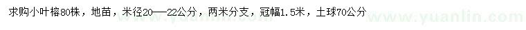 求購米徑20-22公分小葉榕