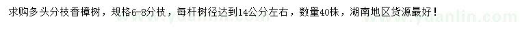 求購(gòu)每桿樹(shù)徑達(dá)到14公分左右多頭香樟