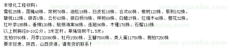 求購雪松、國槐、欒樹等