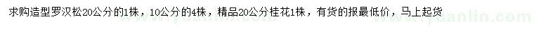 求購(gòu)10、20公分造型羅漢松、20公分桂花