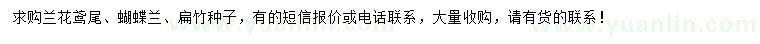 求購蘭花鳶尾、蝴蝶蘭、扁竹種子