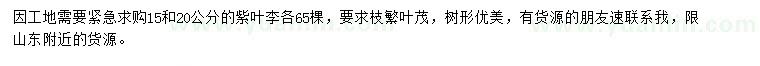 求購15、20公分紫葉李