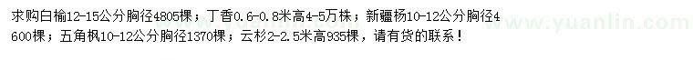 求購白榆、丁香、新疆楊等