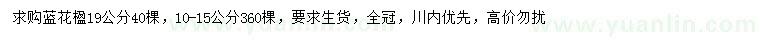 求購(gòu)19、10-15公分藍(lán)花楹