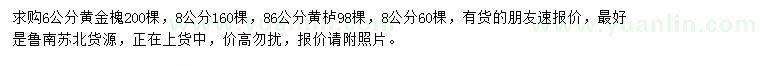 求購6、8公分黃金槐、黃櫨