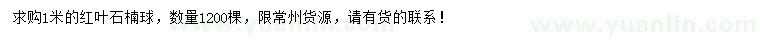 求購1米紅葉石楠球