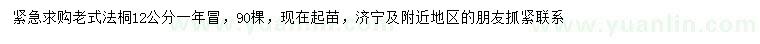求購12公分老式法桐