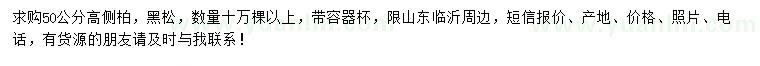 求購高50公分側(cè)柏、黑松