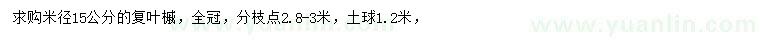 求購米徑15公分復(fù)葉槭