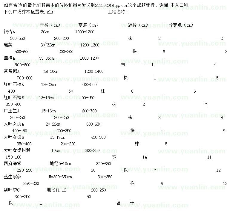 求購銀杏、皂角、國槐等