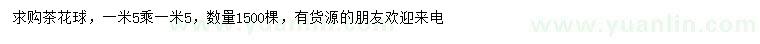 求購1.5*1.5米茶花球