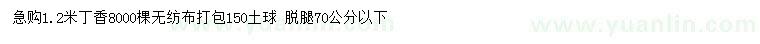 求購1.2米丁香