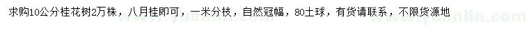 求購(gòu)10公分八月桂