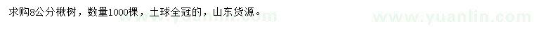 求購8公分楸樹