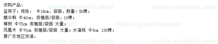 求購盆架子、幌傘楓、樟樹等