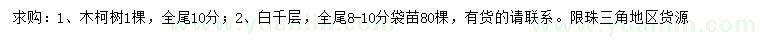 求購10公分木柯樹、8-10公分白千層