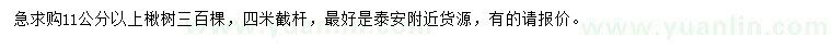 求購(gòu)11公分以上楸樹(shù)
