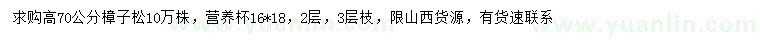 求購高70公分樟子松