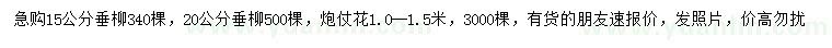 求購15、20公分垂柳、1-1.5米炮仗花