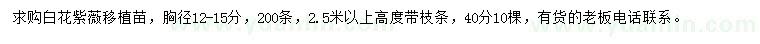 求購胸徑12-15公分白花紫薇