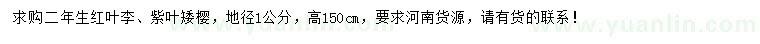求購二年生紅葉李、紫葉矮櫻