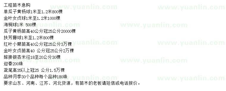 求購單瓜子黃楊球、金葉女貞球、海桐球等