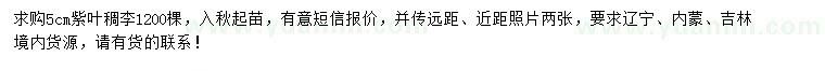 求購5公分紫葉稠李