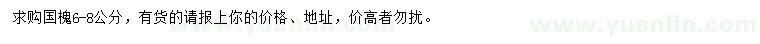 求購6-8公分國槐
