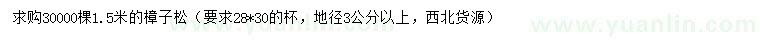 求購(gòu)1.5米樟子松