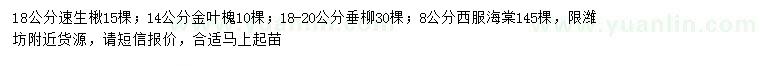 求購速生楸 、金葉槐、垂柳等