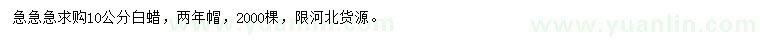 求購10公分白蠟