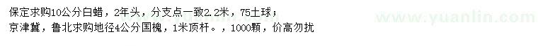 求購10公分白蠟、地徑4公分國槐