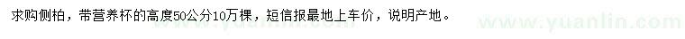 求購(gòu)高度50公分側(cè)柏