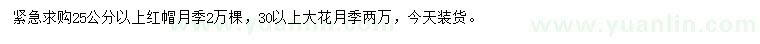 求購(gòu)25公分以上紅帽月季
