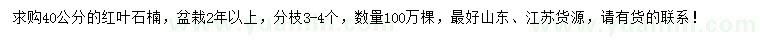 求購40公分紅葉石楠