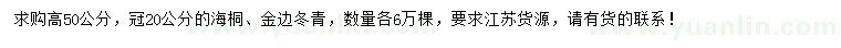 求購高50公分海桐、金邊冬青