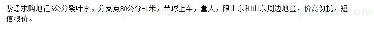 求購地徑6公分紫葉李