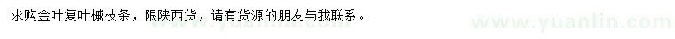 求購金葉復(fù)葉槭枝條