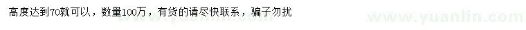 求購(gòu)高度70公分夾竹桃小苗