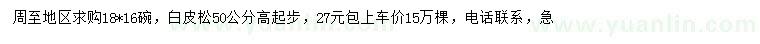 求購(gòu)50公分高起步白皮松
