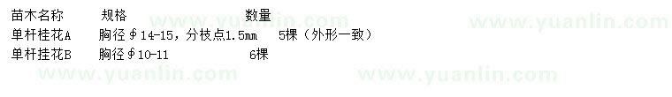 求購(gòu)胸徑10-11、14-15公分桂花