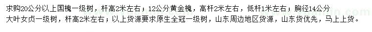 求購國槐、黃金槐、大葉女貞