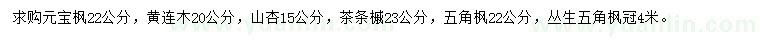 求購元寶楓、黃連木、山杏等