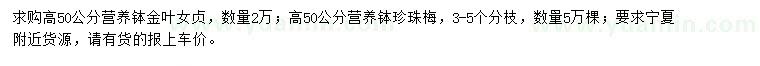 求購高50公分金葉女貞、珍珠梅