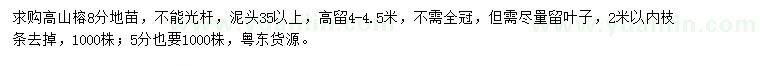求購5、8公分高山榕