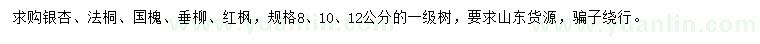 求購銀杏、法桐、國槐等