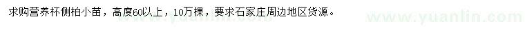 求購高60公分以上側(cè)柏小苗