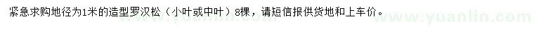 求購地徑為1米造型羅漢松